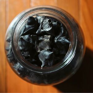 Dried Water Caltrops // Devil Pods